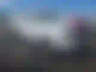 Vehicle Image- 2015 Toyota Tacoma