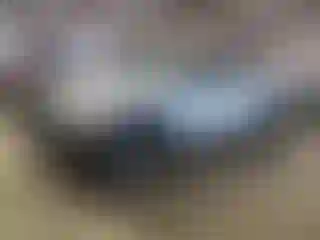 Vehicle Image- 2012 Toyota Tacoma