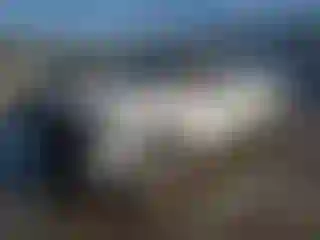 Vehicle Image- 2022 Toyota Tundra