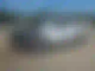 Vehicle Image- 2025 Toyota Tundra