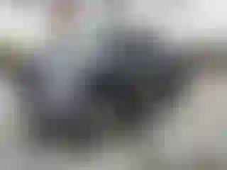 Vehicle Image- 2012 Toyota Tundra