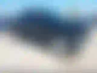 Vehicle Image- 2022 Toyota Tundra
