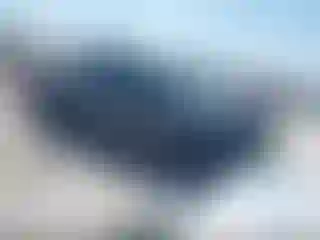 Vehicle Image- 2024 Toyota Tundra