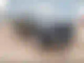 Vehicle Image- 2022 Toyota Tundra