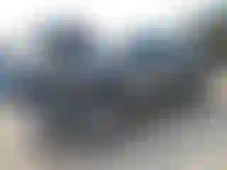 Vehicle Image- 2024 Toyota Tundra