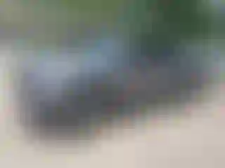 Vehicle Image- 2024 Toyota Tundra
