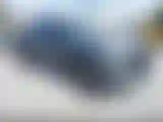 Vehicle Image- 2024 Toyota Tundra