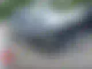 Vehicle Image- 2025 Toyota Tundra