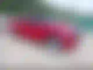 Vehicle Image- 2022 Toyota Tundra