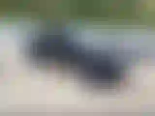 Vehicle Image- 2013 Toyota Tacoma