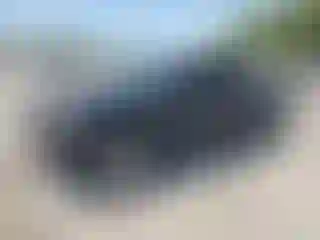 Vehicle Image- 2011 Toyota Tacoma