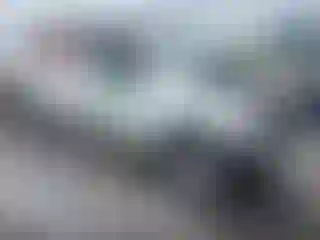 Vehicle Image- 2010 Toyota Tundra