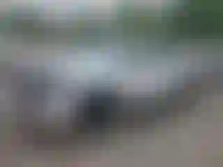 Vehicle Image- 2023 Toyota Tundra