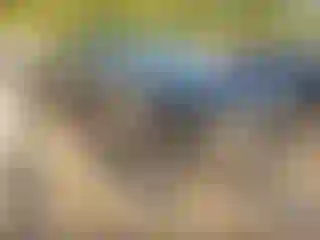 Vehicle Image- 2023 Toyota Tundra