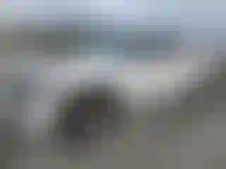 Vehicle Image- 2024 Toyota Tundra