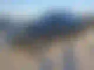 Vehicle Image- 2024 Toyota Tundra