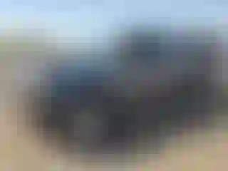 Vehicle Image- 2014 Toyota Tacoma