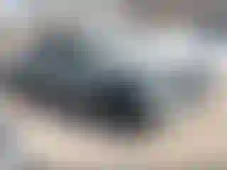 Vehicle Image- 2024 Toyota Tundra