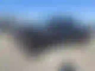 Vehicle Image- 2024 Toyota Tundra