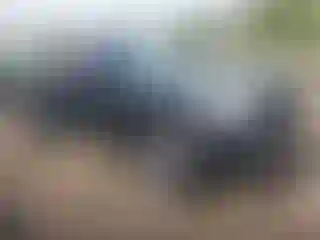 Vehicle Image- 2014 Toyota Tacoma