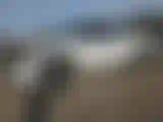 Vehicle Image- 2023 Toyota Tundra
