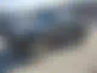 Vehicle Image- 2011 Toyota Tacoma