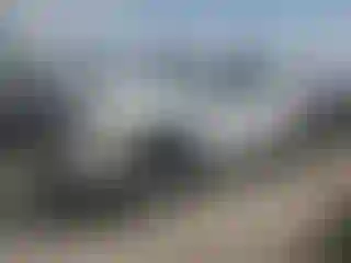 Vehicle Image- 2010 Toyota Tundra