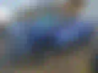 Vehicle Image- 2010 Toyota Tundra