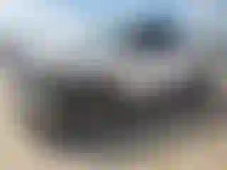 Vehicle Image- 2011 Toyota Tundra