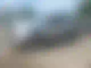 Vehicle Image- 2012 Toyota Tundra