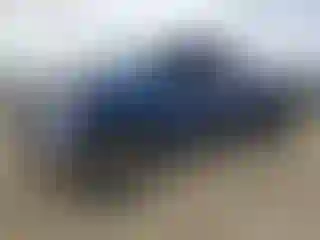Vehicle Image- 2014 Toyota Tundra