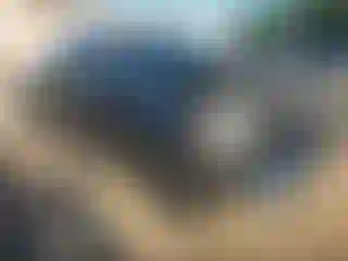 Vehicle Image- 2016 Toyota Tundra