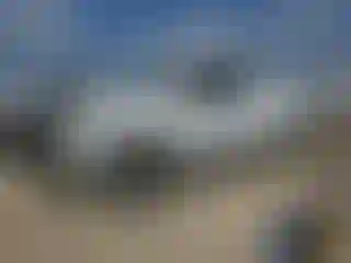 Vehicle Image- 2011 Toyota Tundra