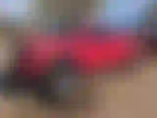 Vehicle Image- 2007 Toyota Tundra