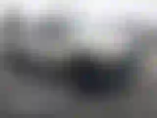 Vehicle Image- 2007 Toyota Tundra