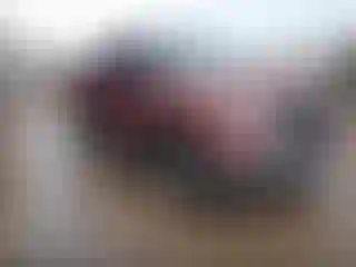 Vehicle Image- 2008 Toyota Tundra