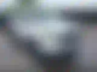 Vehicle Image- 2007 Toyota Tundra
