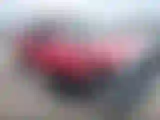 Vehicle Image- 2008 Toyota Tundra