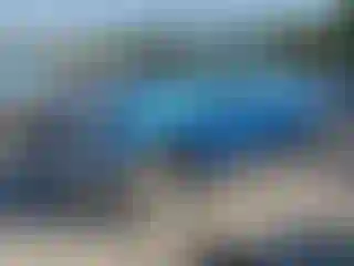 Vehicle Image- 2008 Toyota Tundra