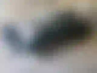 Vehicle Image- 2008 Toyota Tundra