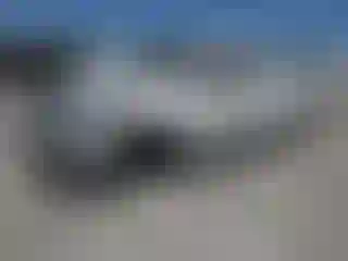 Vehicle Image- 2009 Toyota Tundra