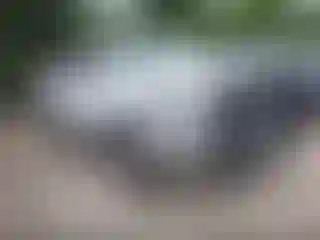 Vehicle Image- 2007 Toyota Tundra