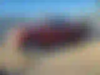 Vehicle Image- 2008 Toyota Tundra