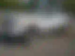 Vehicle Image- 2007 Toyota Tundra