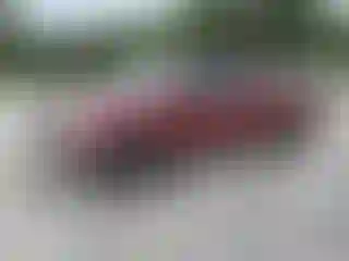 Vehicle Image- 2009 Toyota Tundra