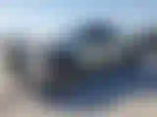 Vehicle Image- 2008 Toyota Tundra