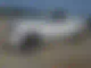 Vehicle Image- 2010 Toyota Tundra