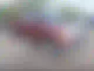 Vehicle Image- 2007 Toyota Tundra