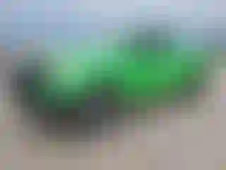 Vehicle Image- 2008 Toyota Tundra