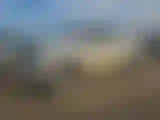 Vehicle Image- 2007 Toyota Tundra